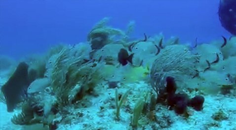 Turismo y Desarrollo Inmobiliario